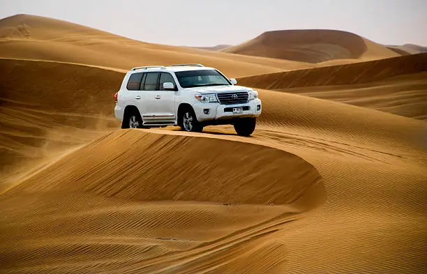 Cholistan desert