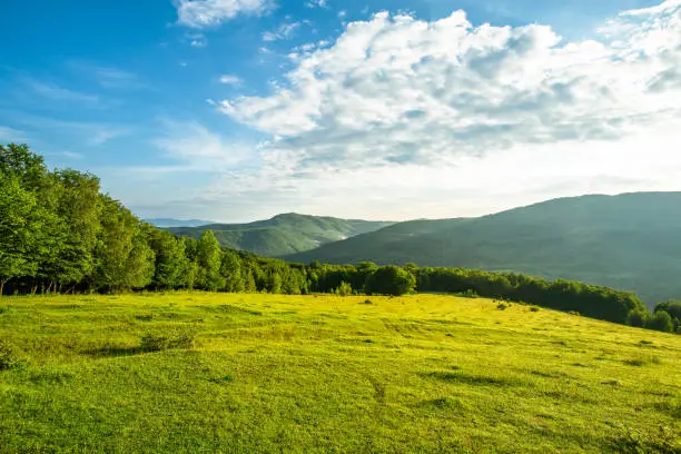 Deosai Plains