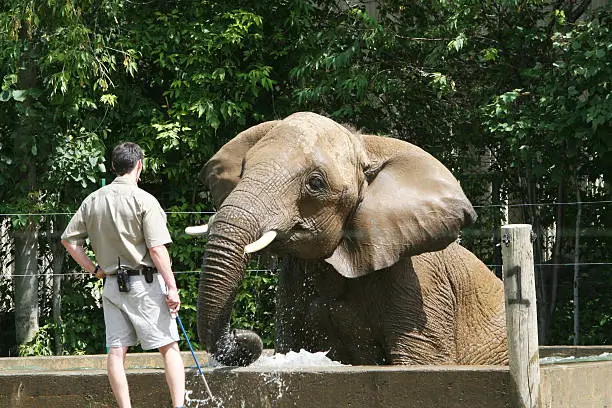 lahore zoo
